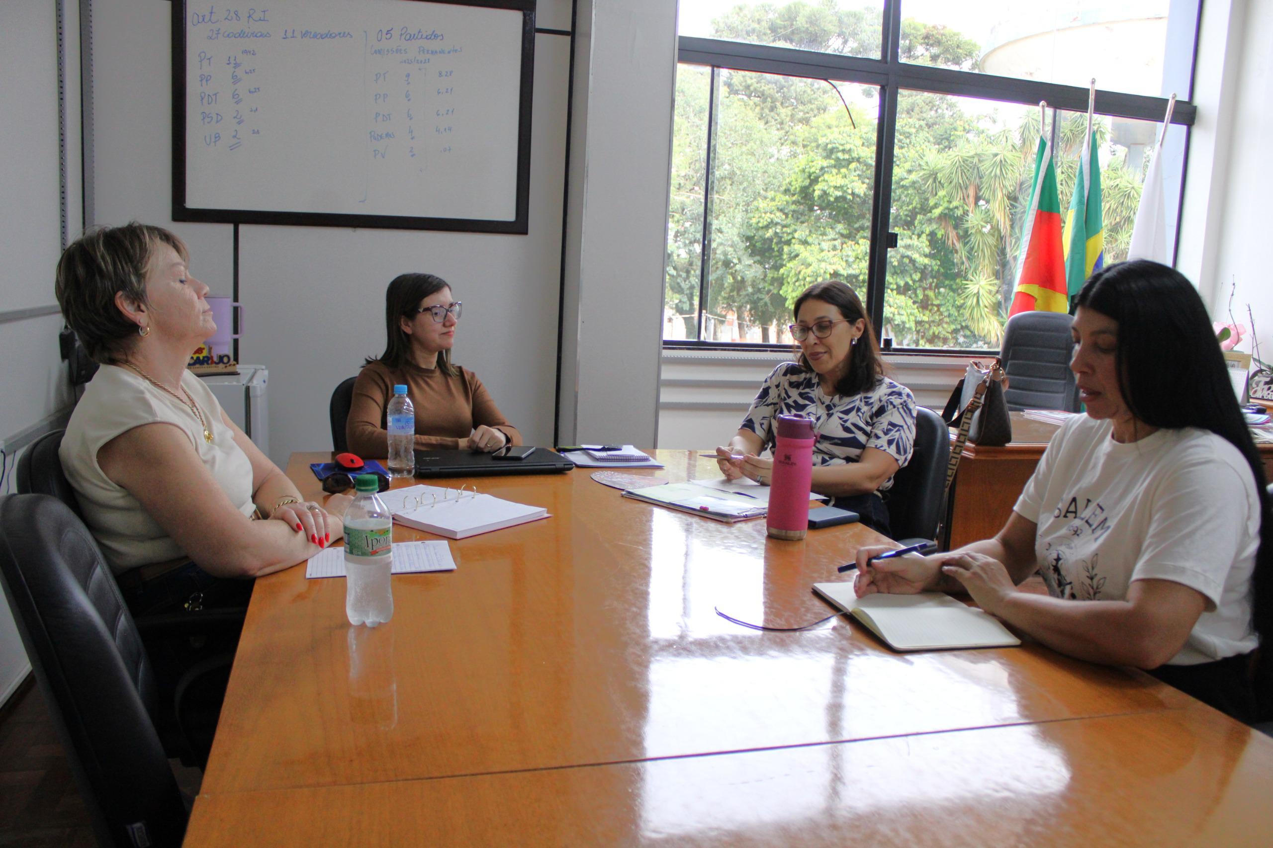 Capa Câmara de Vereadores articula apoio à campanha Maio Furta-Cor em Palmeira das Missões