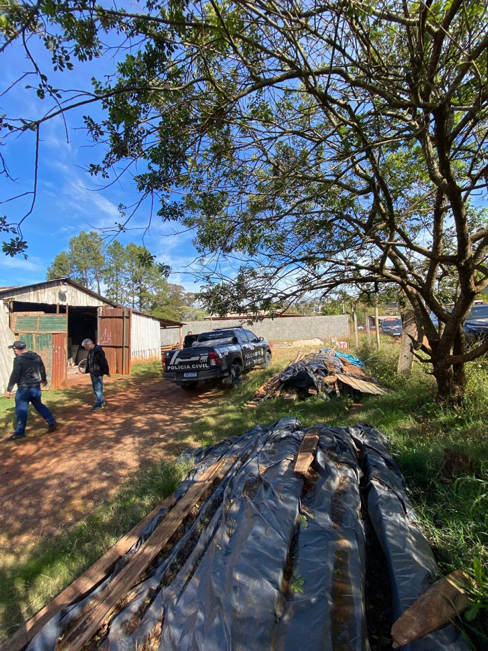 Capa Polícia Civil apreende mais de 30 quilos de maconha em operação entre Palmeira das Missões e Santa Maria