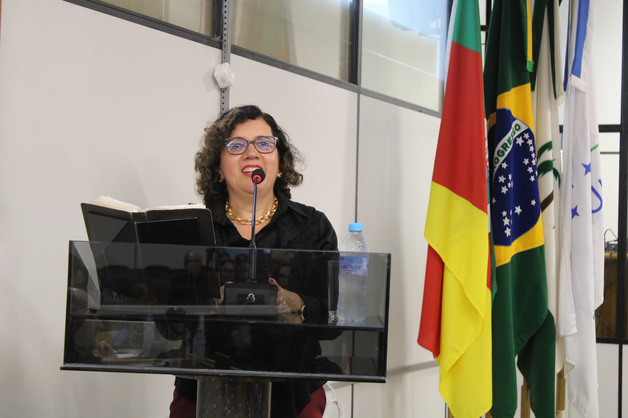 Capa Conselho Estadual de Educação destaca aproximação com comunidades escolares em Palmeira das Missões