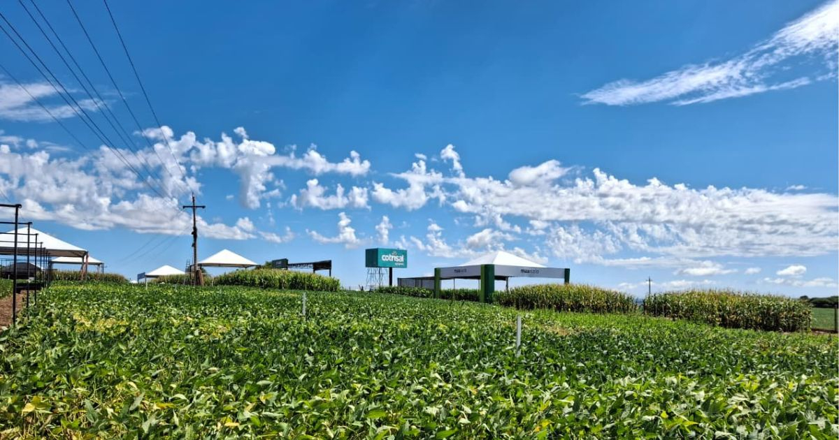 Capa Agrotec Cotrisal 2026 inicia nesta quarta-feira (25) em Sarandi