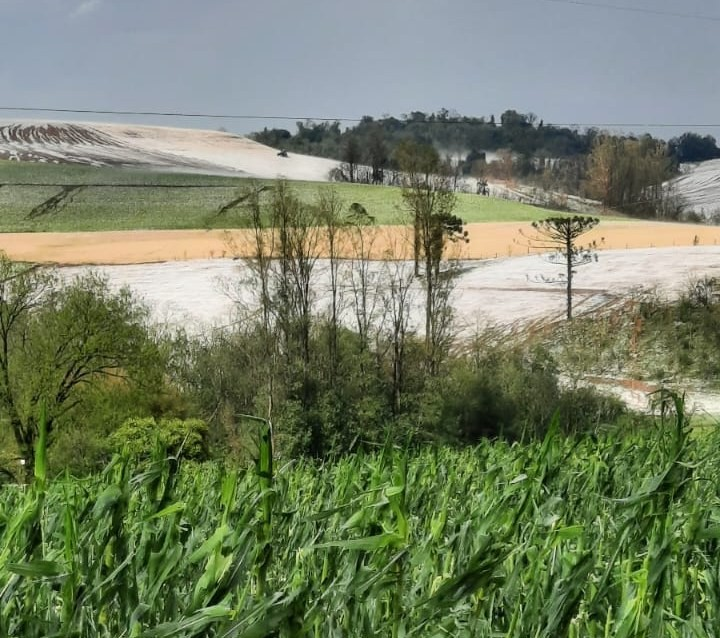 Capa Temporal causa prejuízos em 500 hectares de lavouras em Barra Funda, aponta Emater