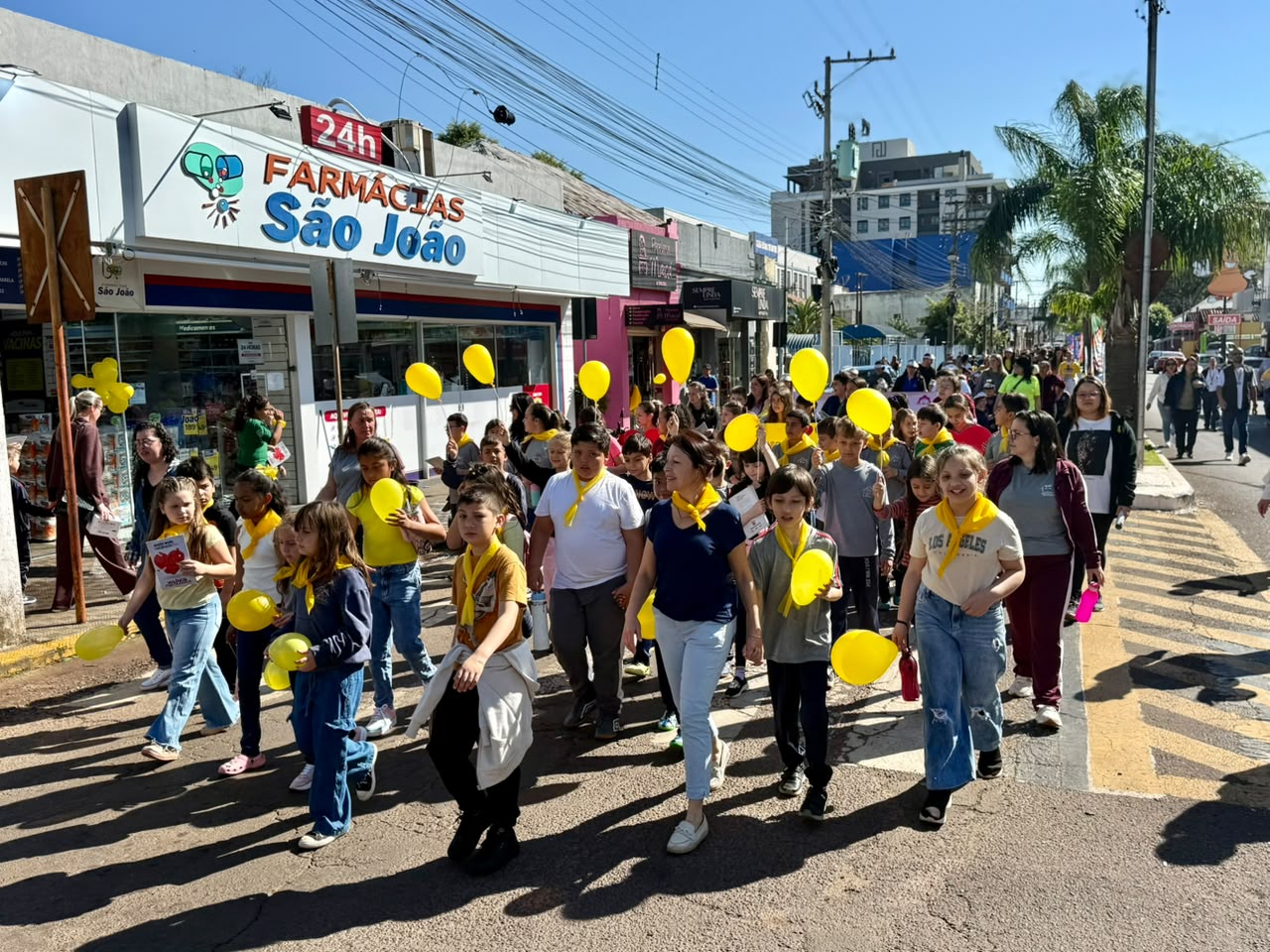 Capa Caminhada pela Vida reúne cerca de cinco mil pessoas em Palmeira das Missões