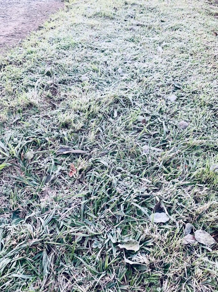 Capa Ao menos 14 cidades gaúchas registram temperaturas negativas nesta terça-feira
