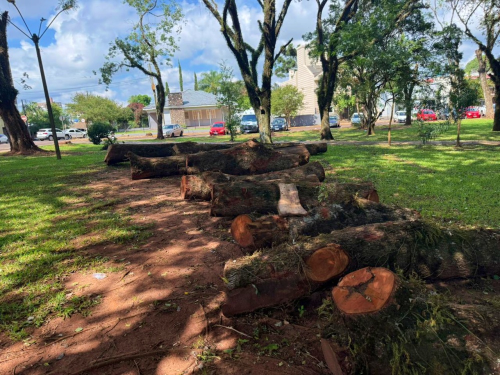Capa Praça terá memorial sustentável com reaproveitamento de árvores atingidas por vendaval em Palmeira das Missões