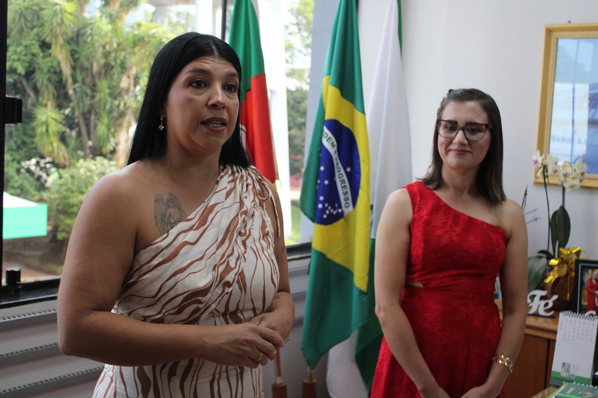 Capa Nova Procuradoria Especial da Mulher é empossada na Câmara de Palmeira das Missões