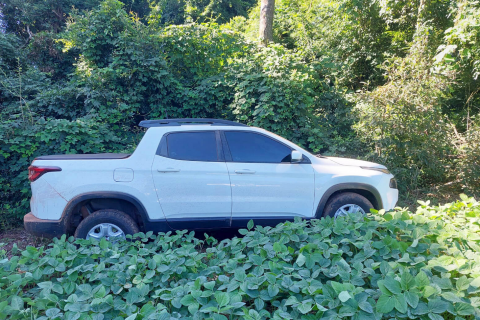 Fiat Toro roubada em Novo Barreiro é encontrada abandonada em lavoura de Palmeira das Missões