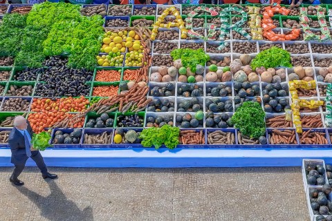 Conab realiza compra de alimentos da agricultura familiar gaúcha pelo PAA