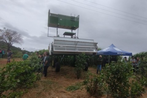 Comitiva de Palmeira das Missões acompanha Dia de Campo sobre a Erva-Mate em Espumoso