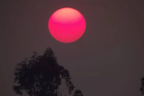 Fumaça de queimadas cobrem o Sul do país