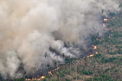 Fumaça de queimadas da região Amazônica chegará ao RS nos próximos dias