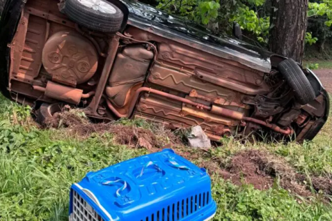 Acidente envolve carro e ônibus na BR-285 em Panambi