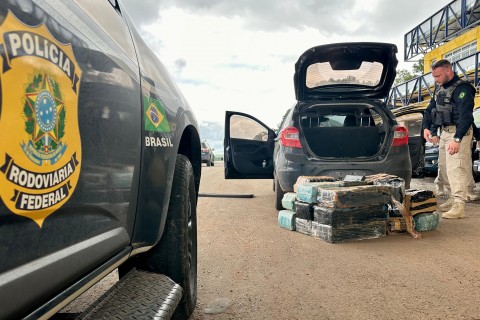 PRF prende traficante transportando mais de 250 quilos de maconha num carro furtado