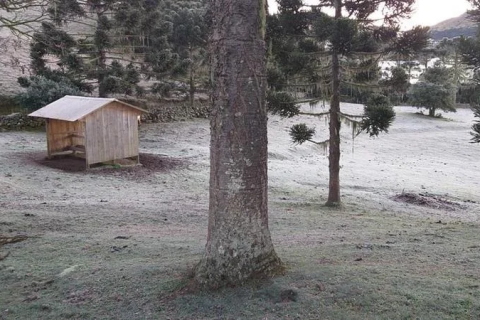 RS pode ter três dias consecutivos com neve, aponta MetSul