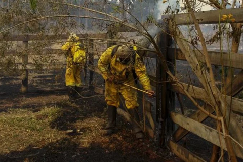 Incêndios deixam 48 cidades de SP em alerta máximo, mas não há focos ativos de queimadas