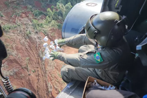 Cinco milhões de sementes são lançadas de helicóptero em ação de revegetação de encostas no Vale do Taquari