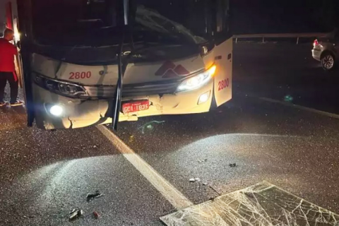 Ônibus do Brasil de Pelotas se envolve em acidente em São Paulo