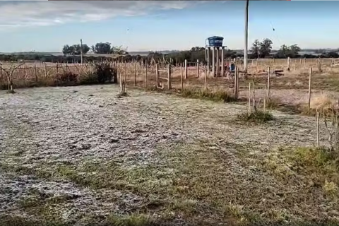 Onda de frio derruba temperaturas no RS e mínima chega a -3ºC no estado