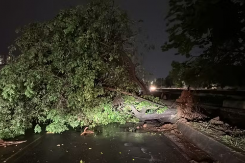 Chuva deixam ao menos cinco mortos em São Paulo