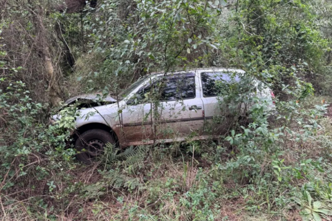 Criminoso furta carro e depois colide em árvore em Panambi