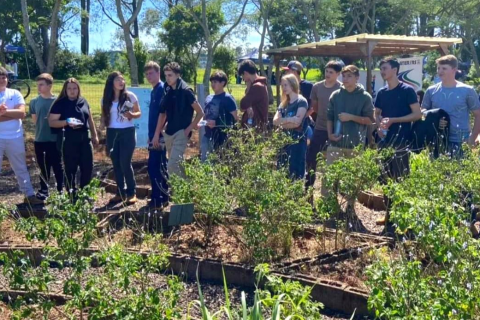 Emater promove o Dia de Campo sobre Plantas Bioativas em Palmeira das Missões