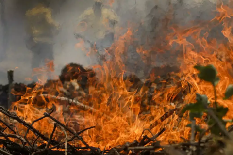 Polícia Federal vê indícios de “ações coordenadas” em incêndios no Brasil